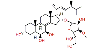 Anthenoside M